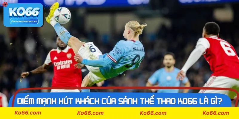 Các bộ môn hot nhất sảnh thể thao Ko66