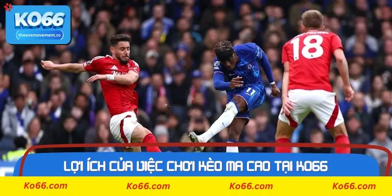 Các dạng kèo ma cao thường thấy nhất khi tham gia tại Ko66