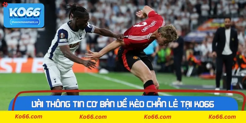 Cách thực hành kèo chẵn lẻ tại Ko66 tối ưu nhất từ chuyên gia